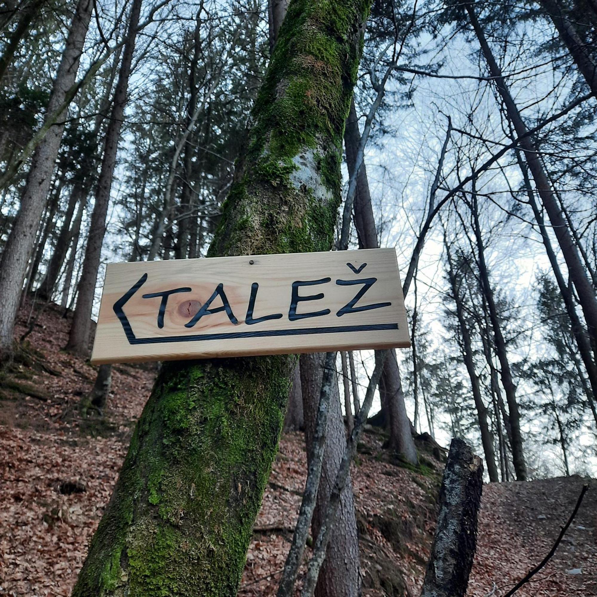 Koca V Gozdu, Forest House Near Bled Exterior foto