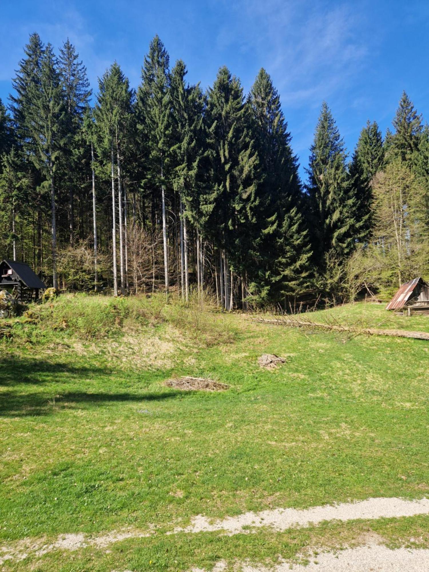 Koca V Gozdu, Forest House Near Bled Exterior foto